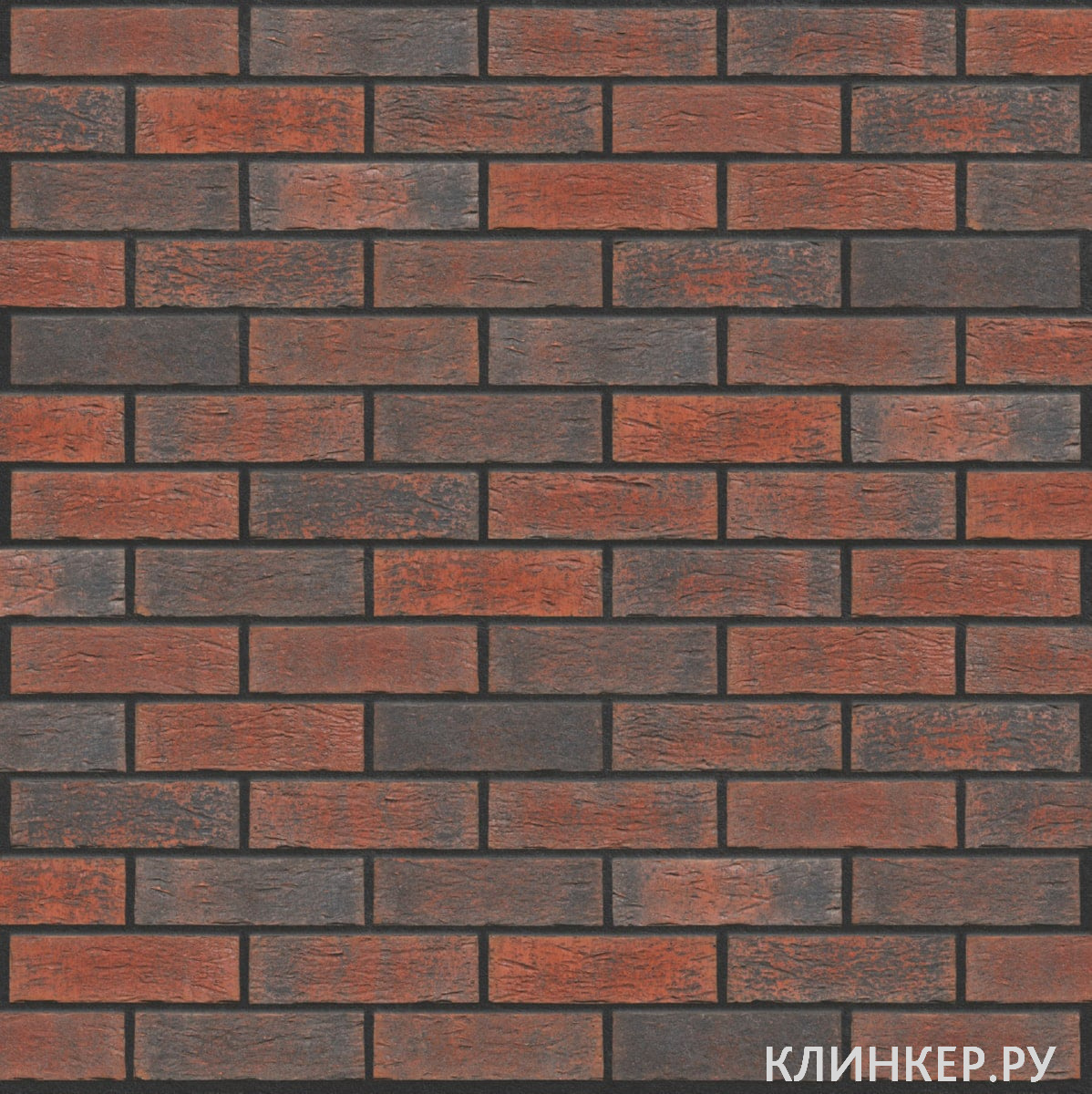 hf06-bengali-night-nf14-nvf_2