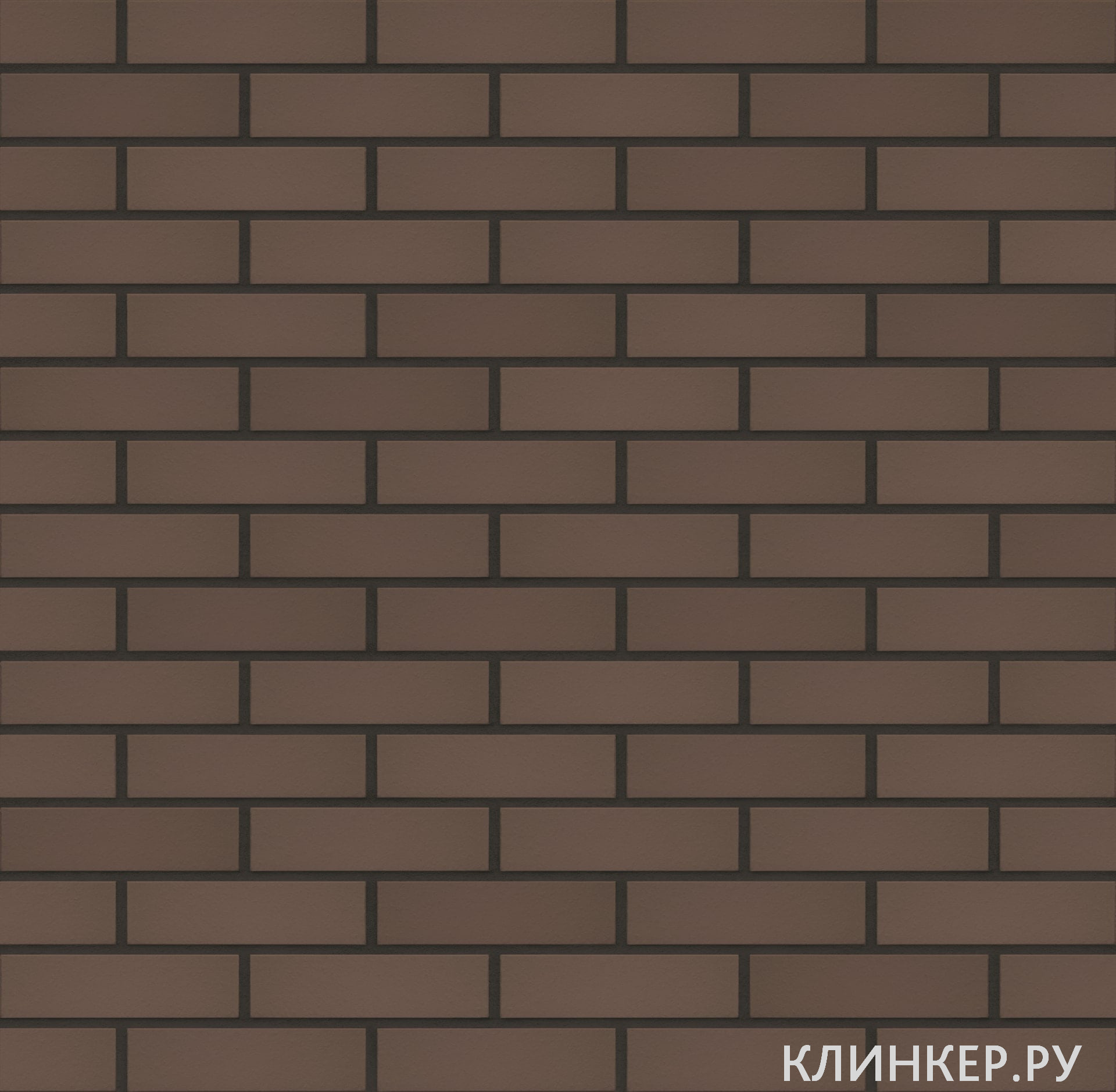 03-natural-brown-nf17-nvf_2