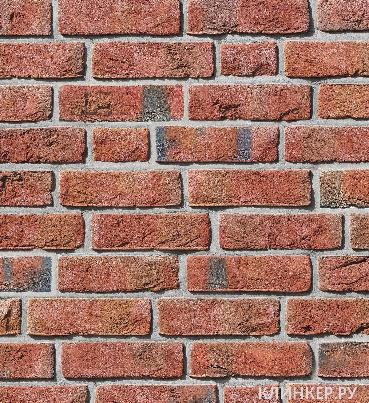 formback-hellrot-bunt_1