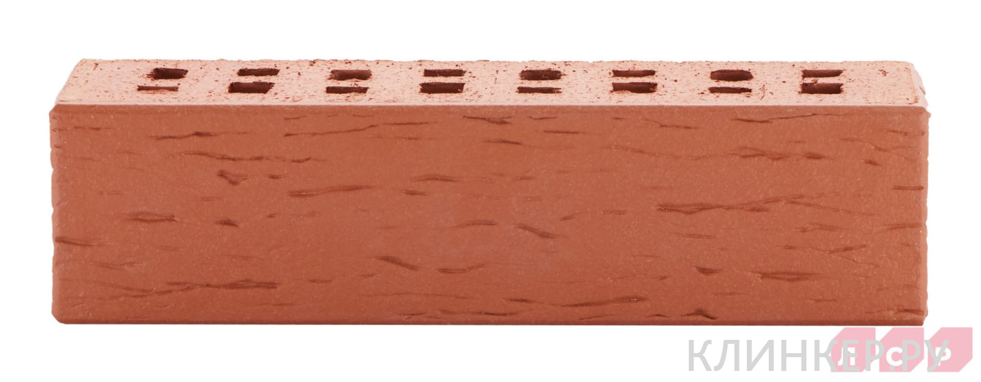 london-krasnij-beresta_6