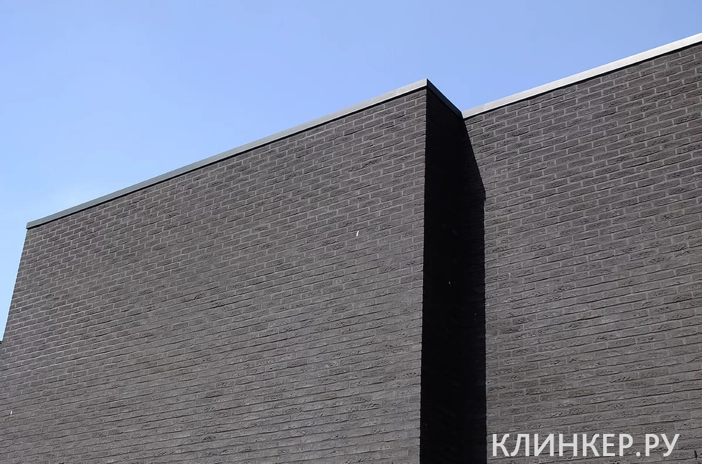 rodruza-black_3