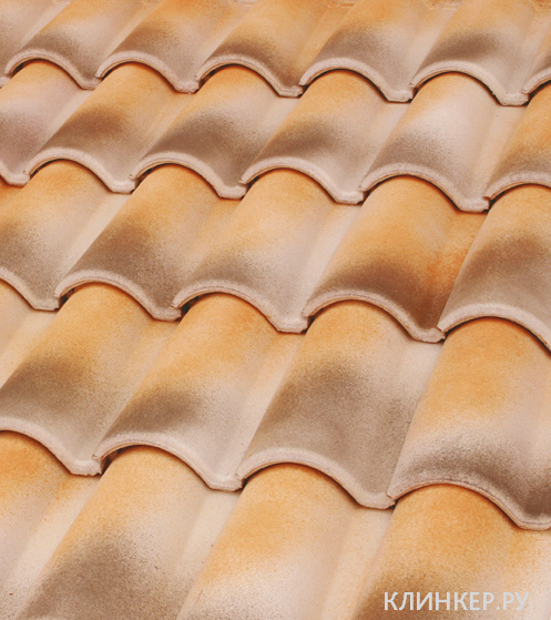 teja-mixta-11-expositor-toledo