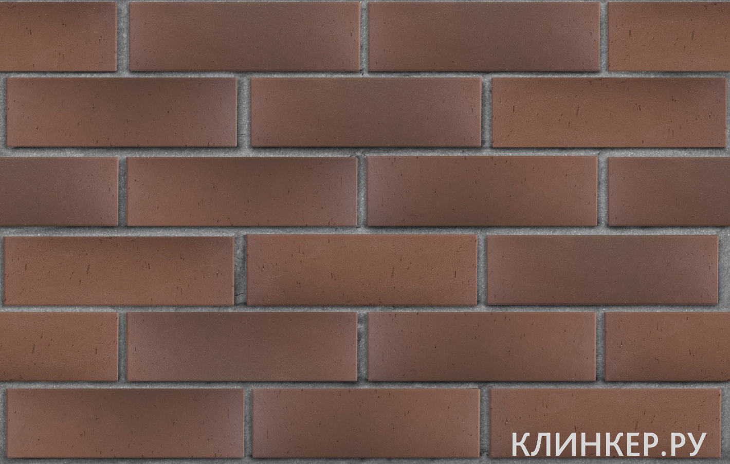 antverpen-tyomno-terrakotovij-flesh-vintazh_1