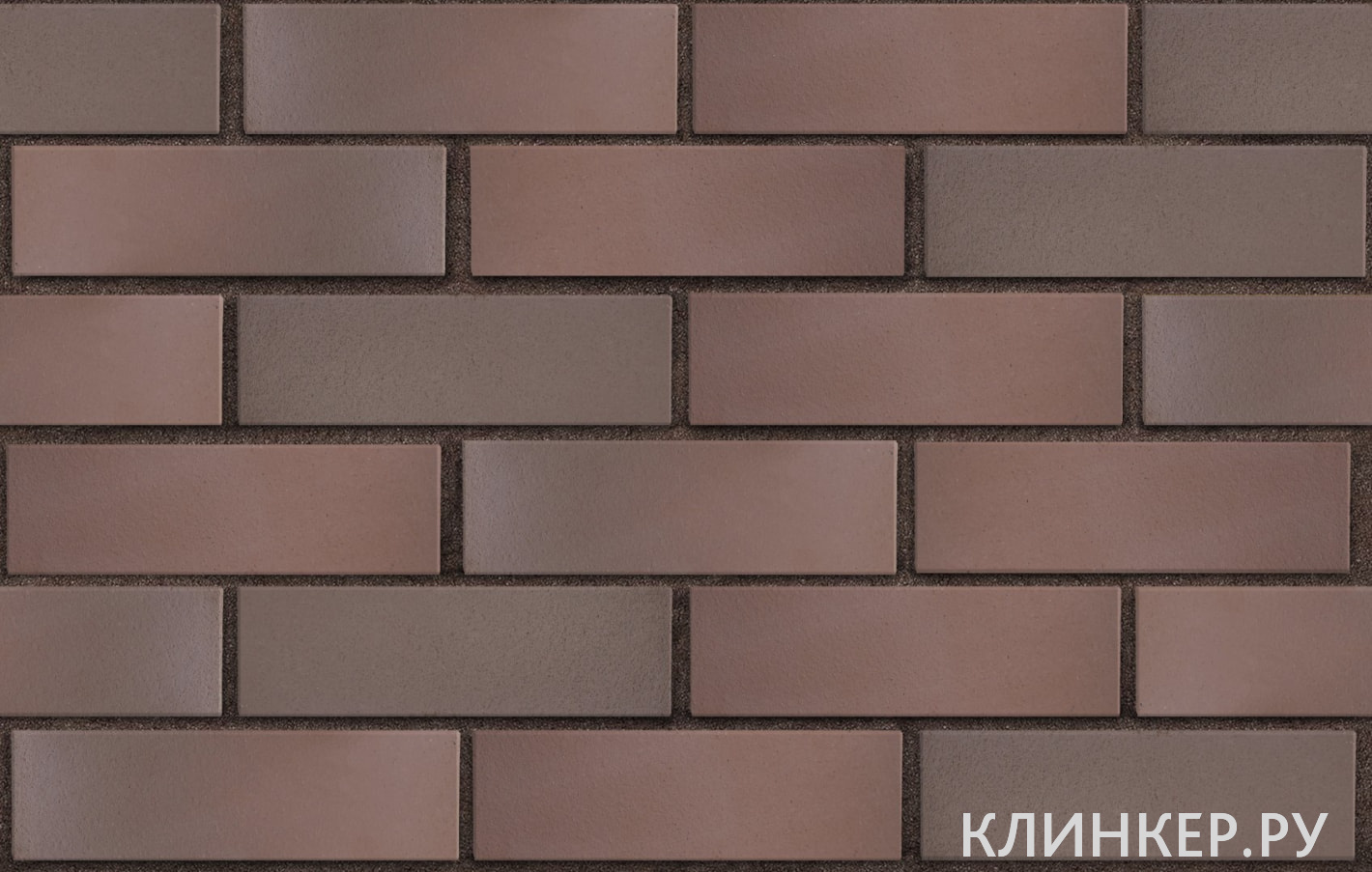 bryugge-tyomno-terrakotovij-flesh-gladkaya_3