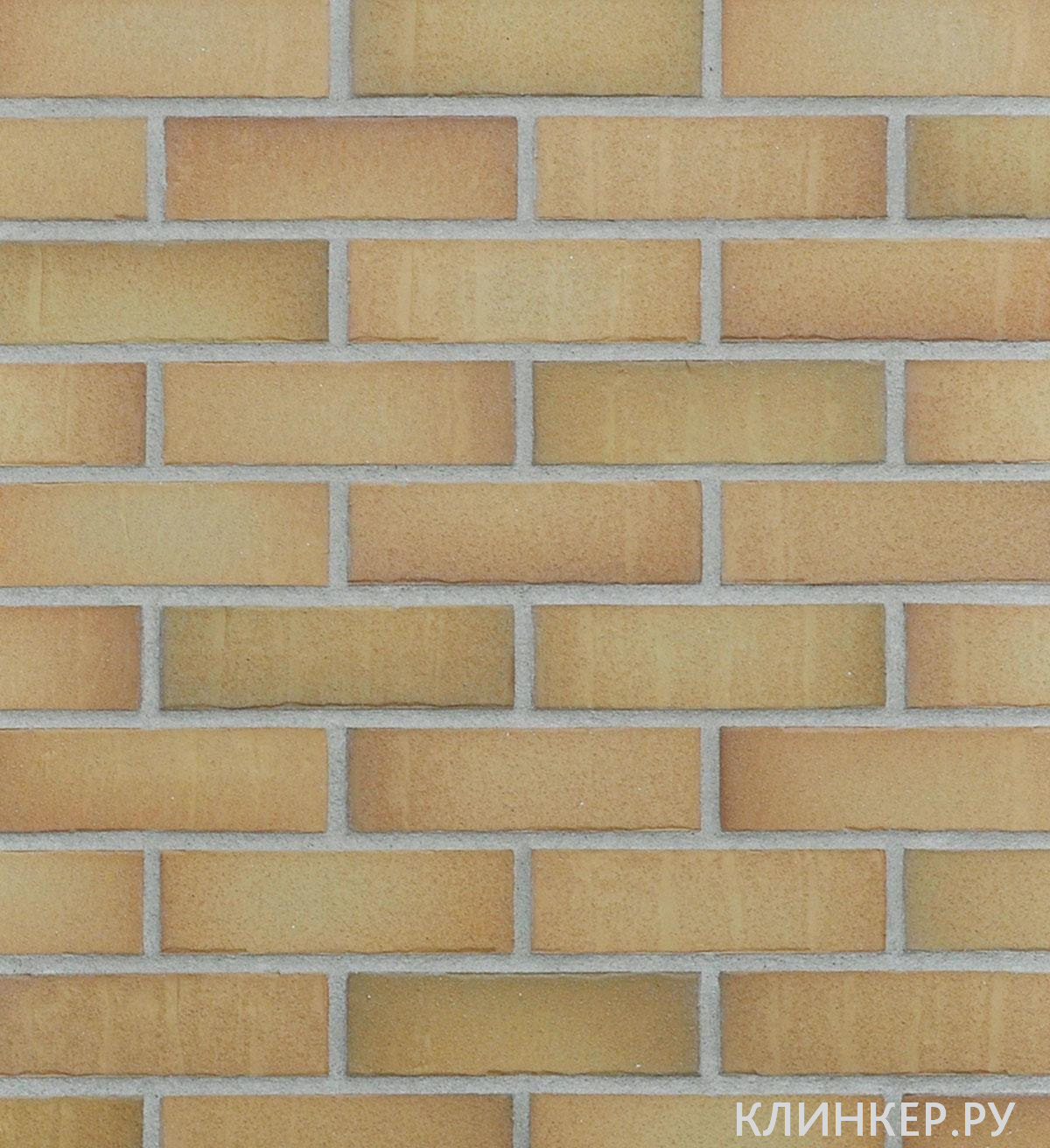 marseille-gelb-bunt_1