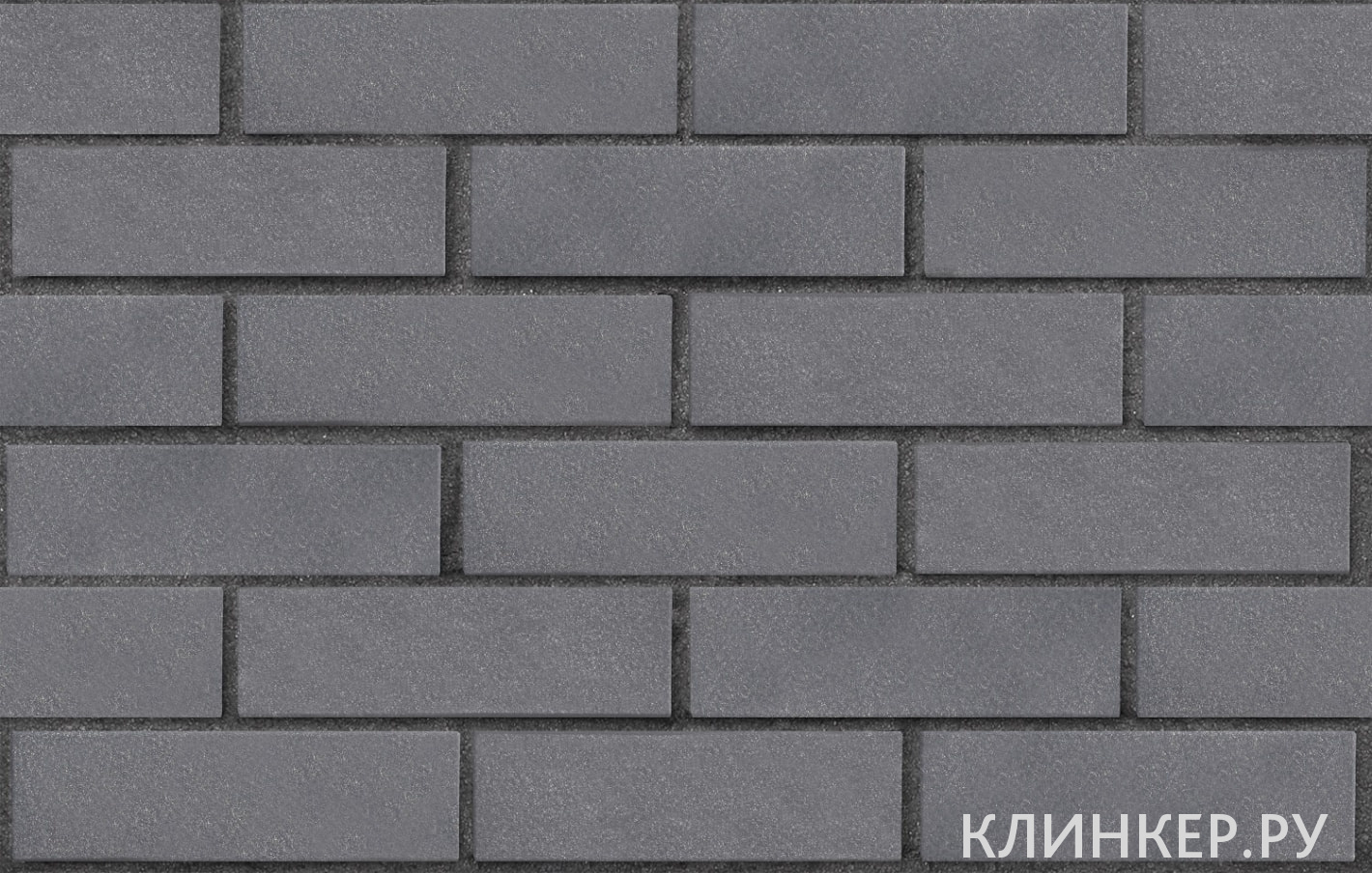 elfyus-serebristij-gladkaya_3