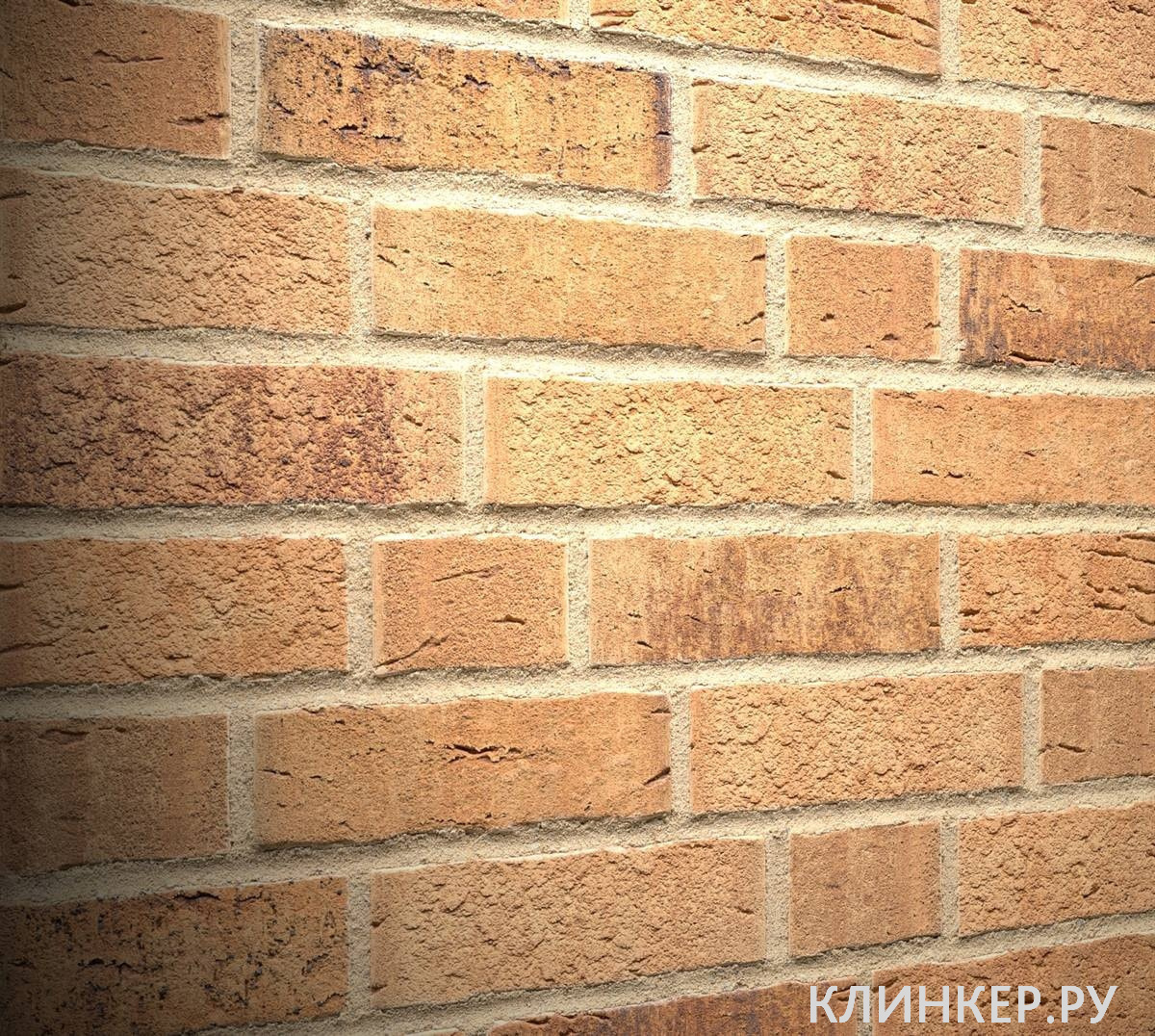 k665nf_5