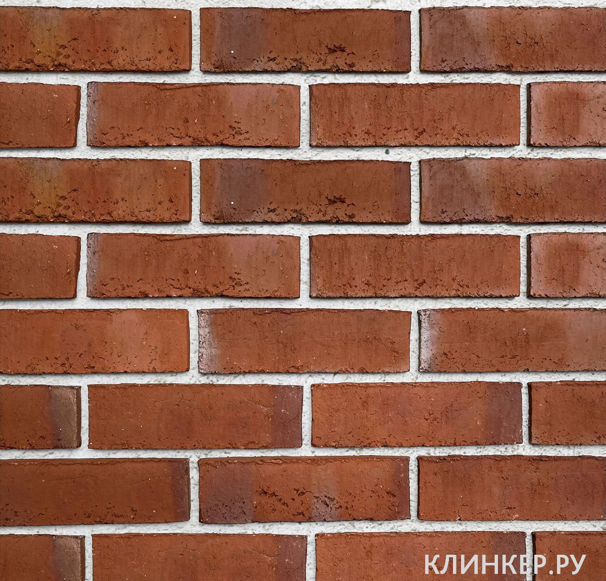 wiesmoor-hellrot-bunt_21