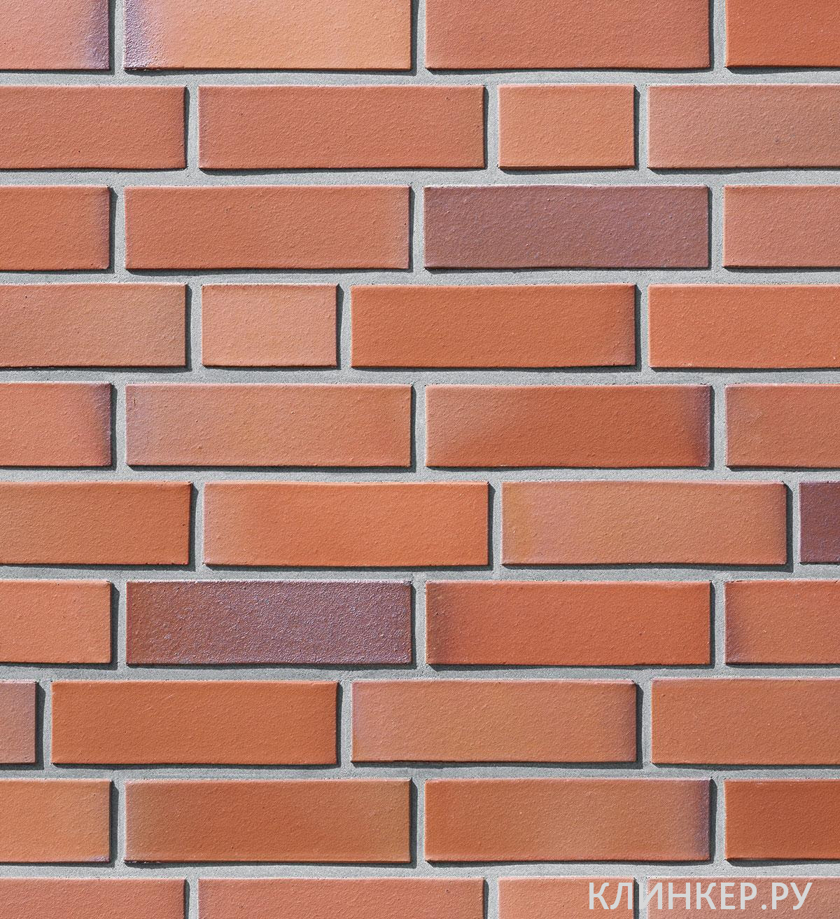 filsum-vulcan-bunt_1