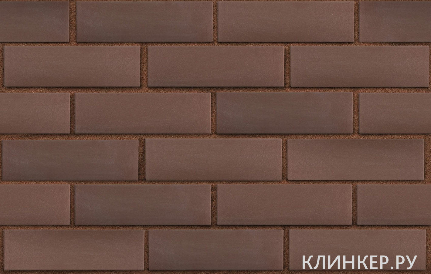 myunhen-korichnevij-gladkaya_3