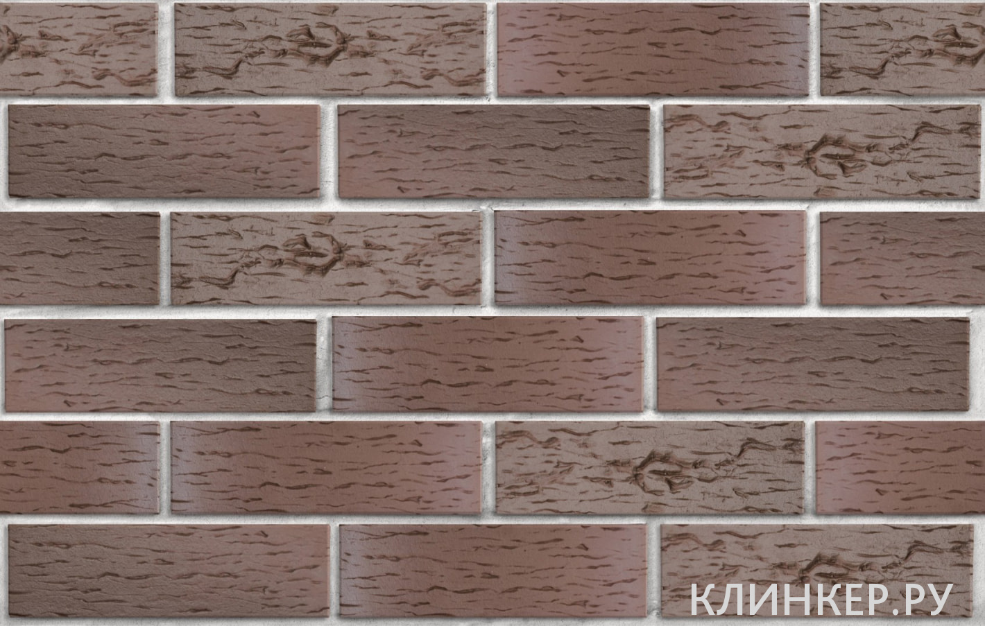 bryugge-tyomno-terrakotovij-flesh-beresta_2