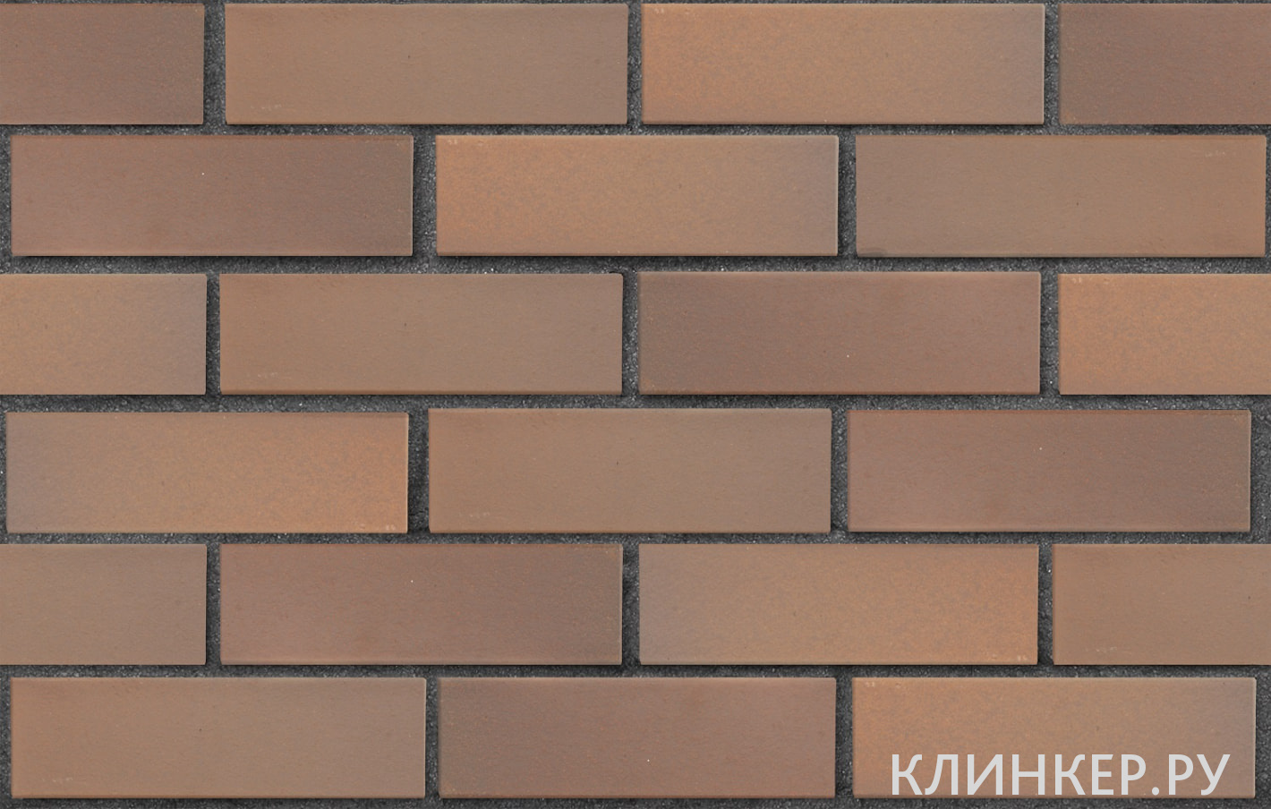 praga-svetlo-korichnevij-flesh-gladkaya_3