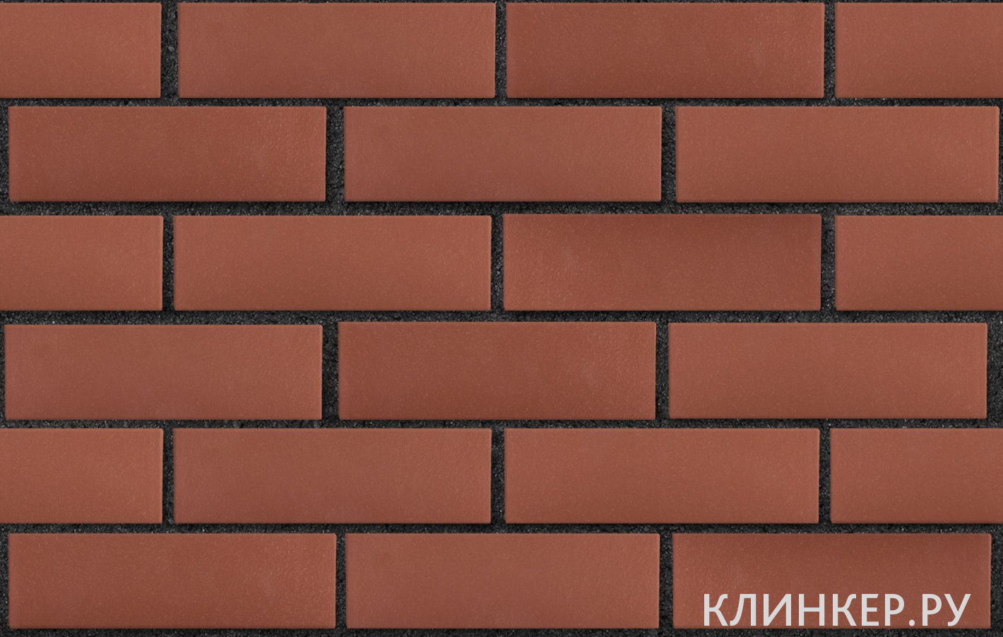 edinburg-tyomno-krasnij-gladkaya_3