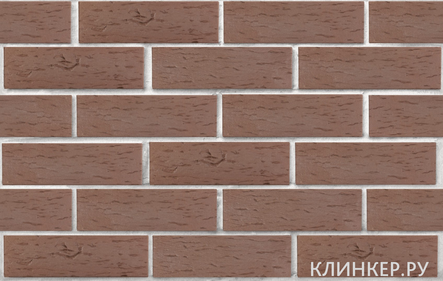 myunhen-korichnevij-beresta_2