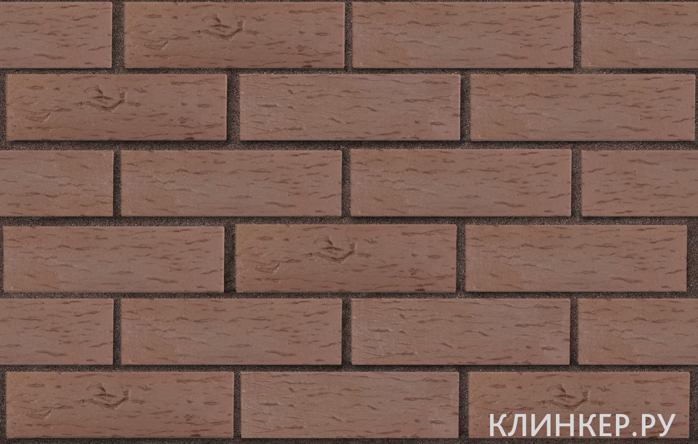 myunhen-korichnevij-beresta_3