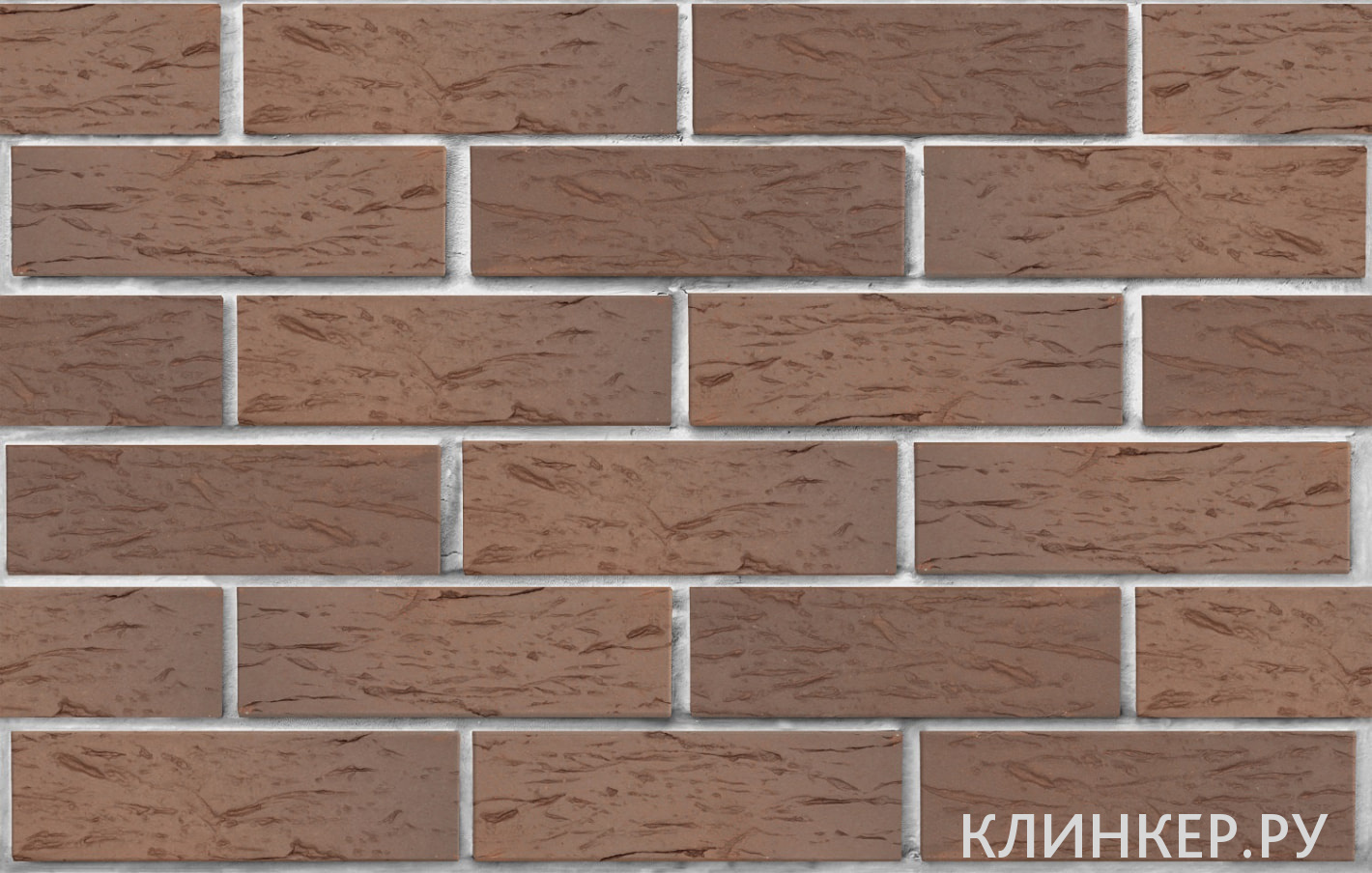 praga-svetlo-korichnevij-flesh-beresta_2