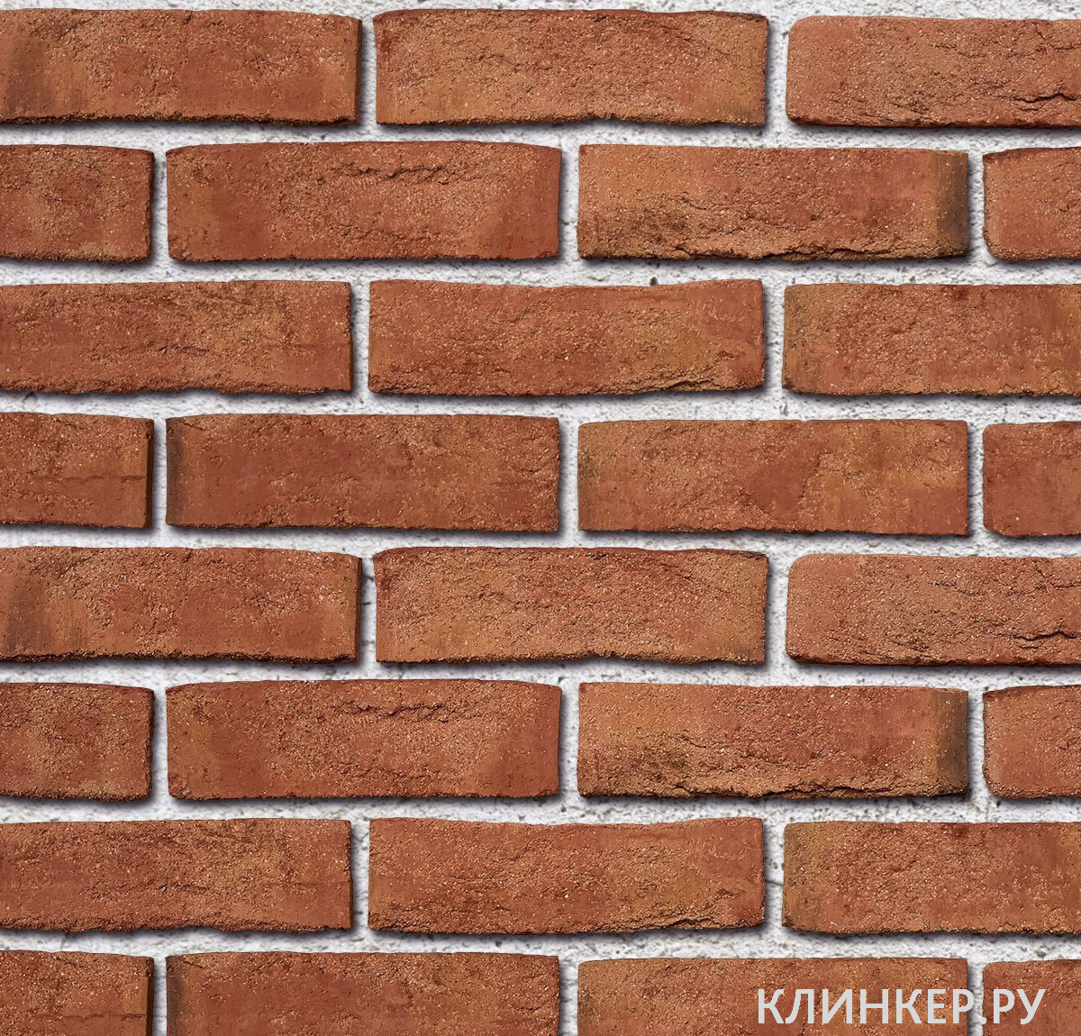 moorbrand-lehm-bunt_21