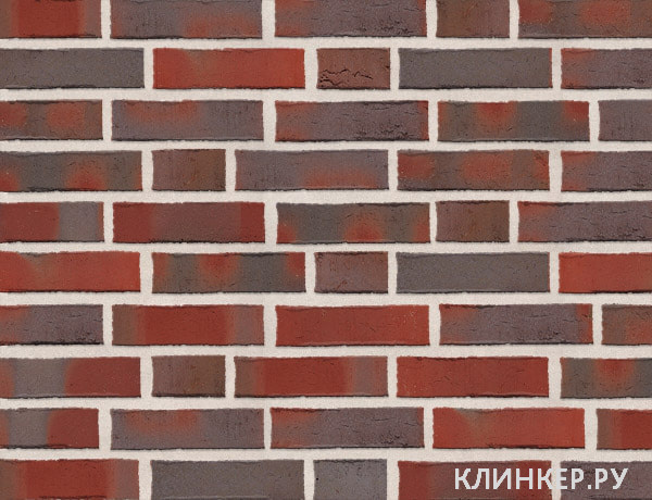 rot-blau-bunt-deluxe_19