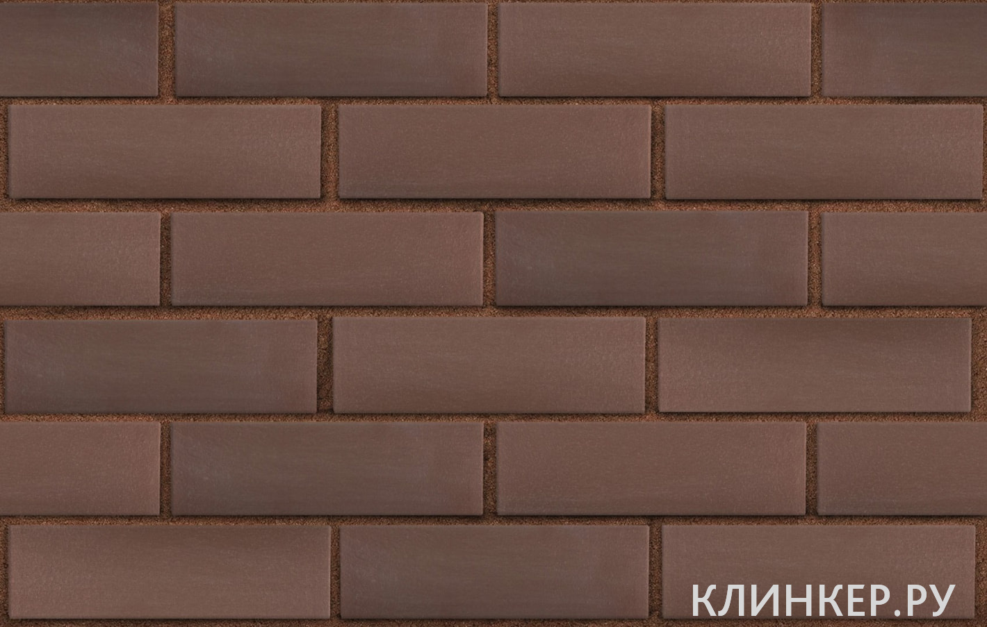myunhen-korichnevij-gladkaya_3