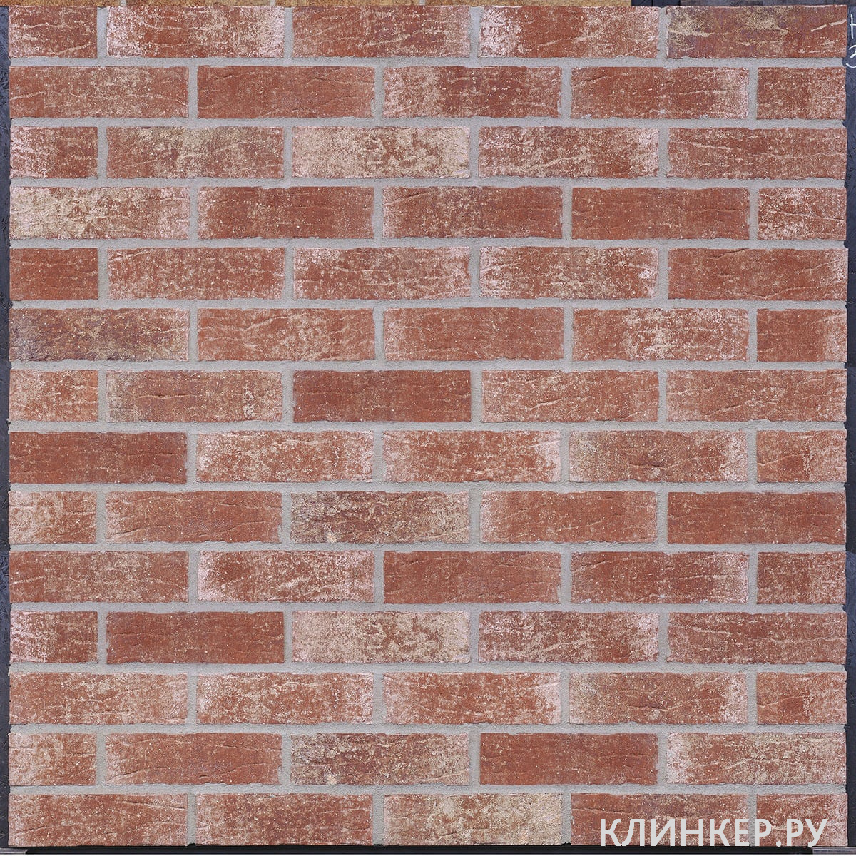 hf35-winter-palace-nf14-nvf_2